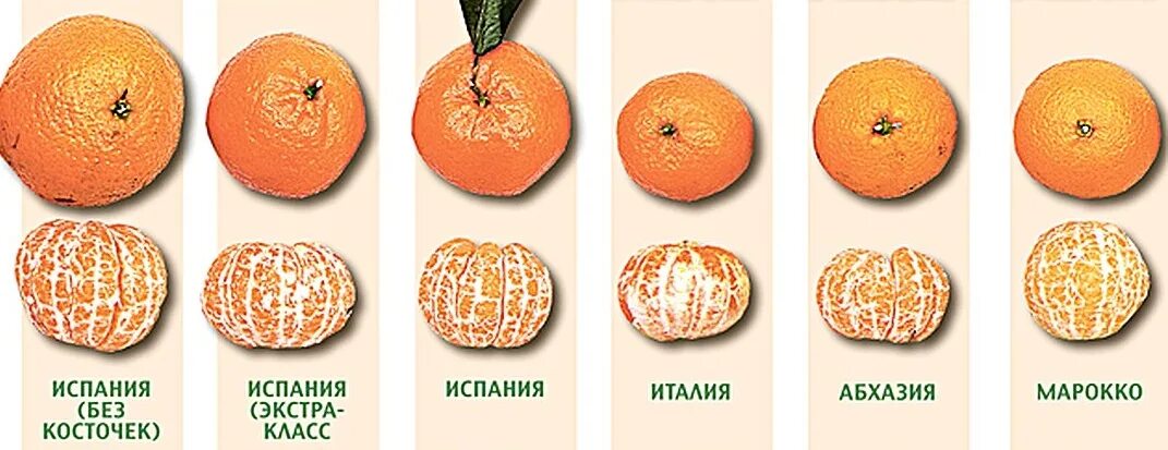Как выглядят настоящие мандарины Миниола
