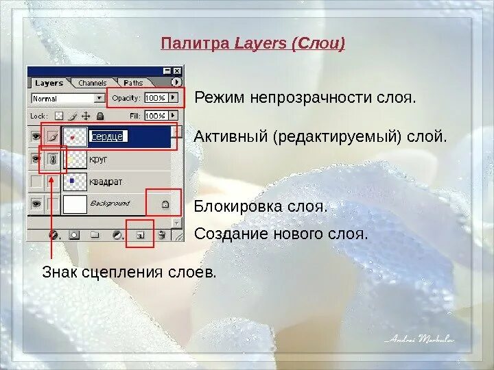Работа с изображениями слои. Работа с изображениями слои