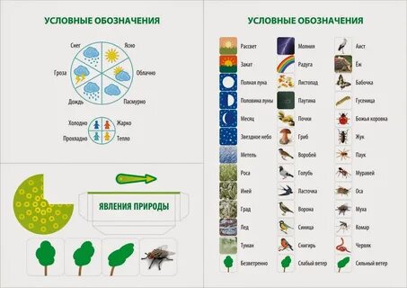 Календарь погоды в детском саду условные обозначения