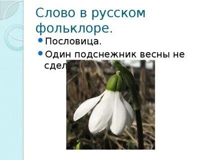 Подснежник составить слова