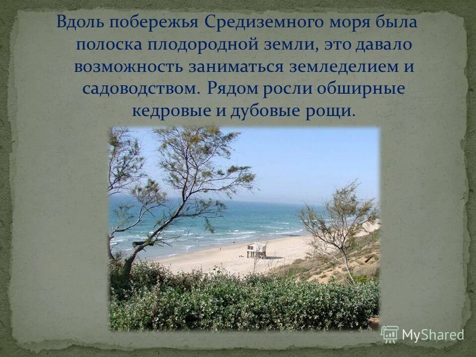 почвы древней греции. аттика на карте древней греции. Viii—vi вв. карта. э.