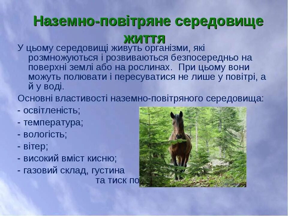 Доклад на тему воздушно наземная среда. Середовище наземно-повітряне. Наземно середовище існування. Тварини наземно повітряного середовища. Екологічні групи наземно повітряного середовища.