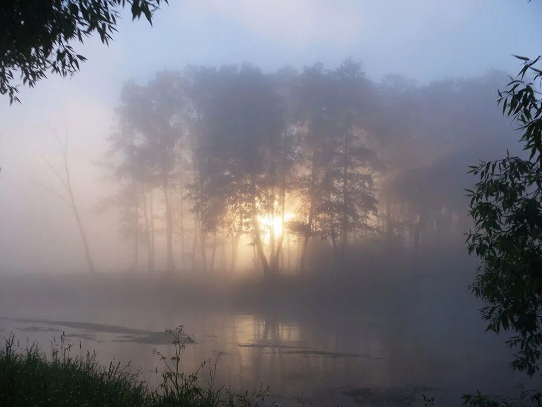 Где туман. Турсунтский туман озеро. Туманное утро Фет. Туманный пейзаж. Утро туман.