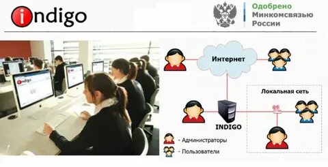 Индиго тестирование