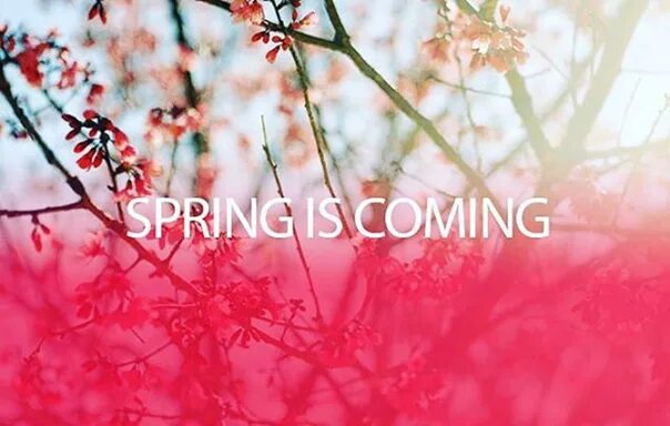 Spring is coming разработка урока. Spring is coming разработка урока. Spring is coming картинки на рабочий стол. Spring soon. Keep calm.