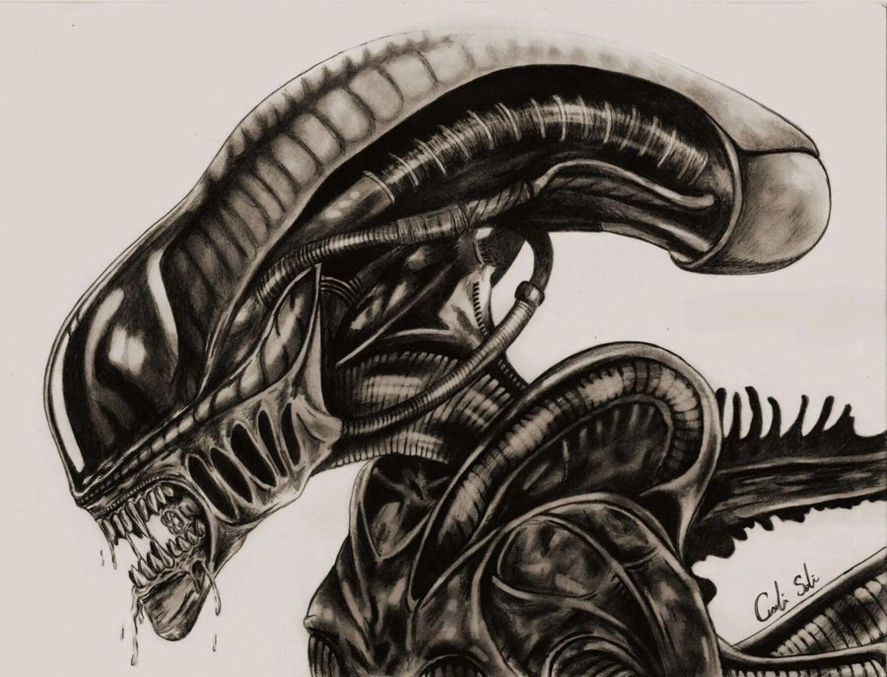 постеры alien trilogy. Weta workshop mini epics фигурки. чужой пакет. чужой пакет. чужой сетчатый.