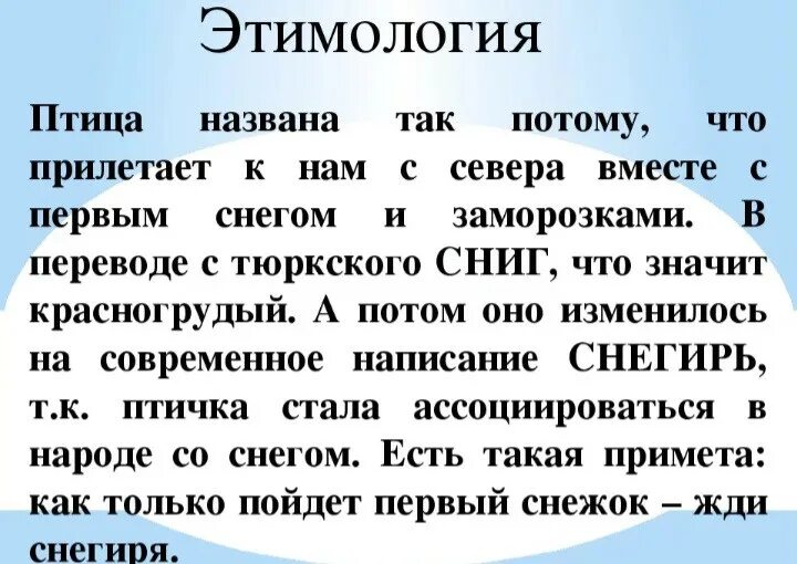 Текст который содержит объяснение. Снегирь происхождение слова и значение. Происхождение слова Снегирь. Снегирь этимология слова. Словарь происхождения слов Снегирь.