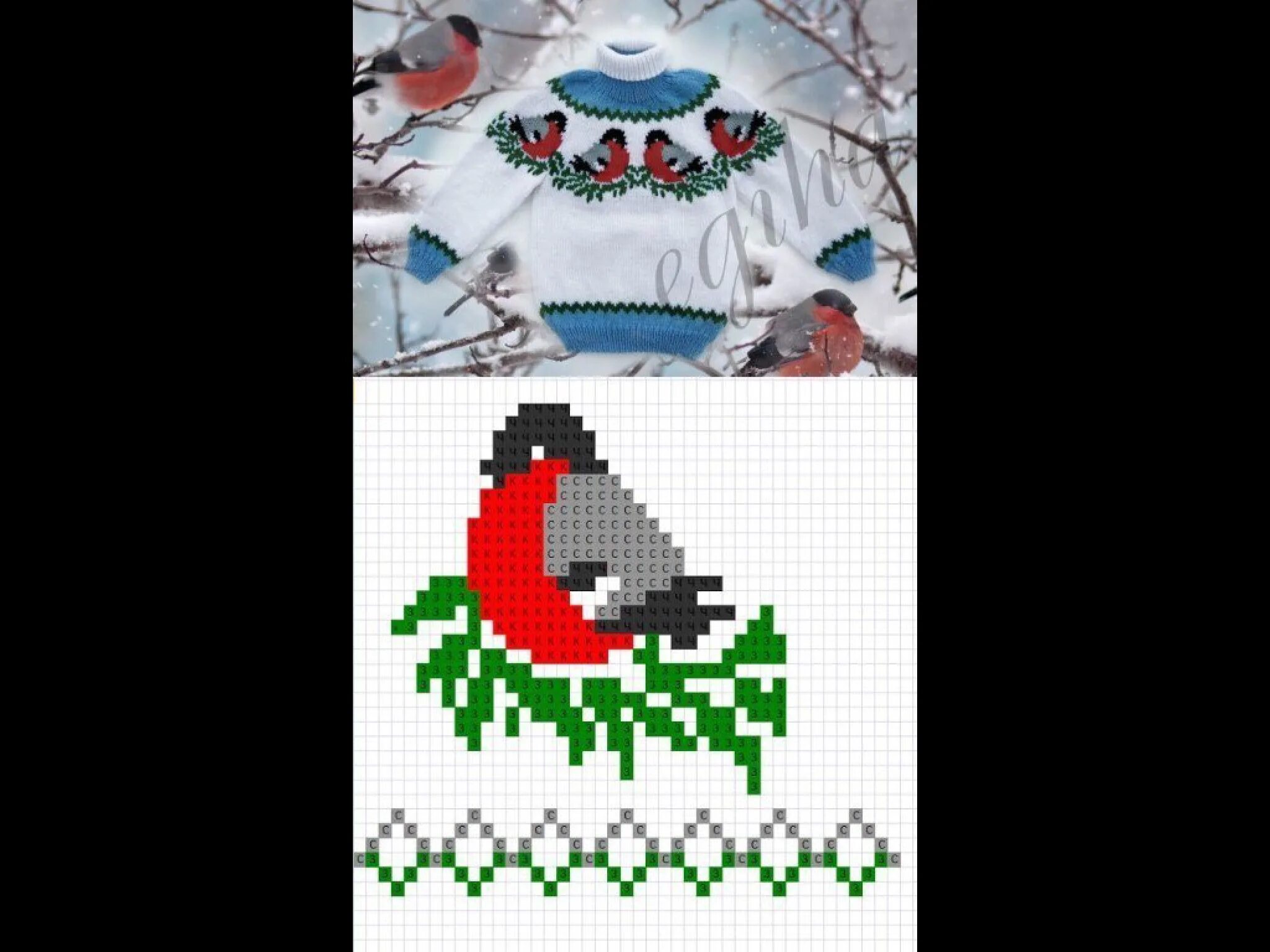 Схема слова снегирь