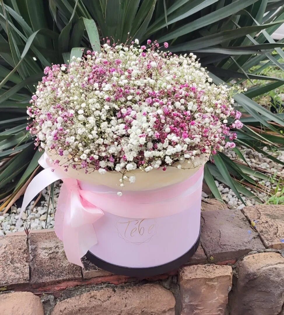 коробочка с гипсофилой. гипсофила букет в шляпной коробке. гипсофила космик. гипсофила букет. гипсофилы в губке.