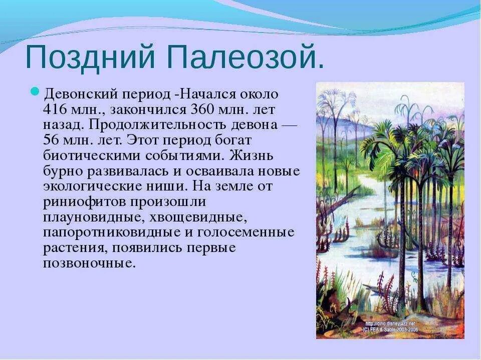 Палеозой какая эра. Девонский период палеозойской эры растения. Палеозойская Эра периоды. Каменноугольный период палеозойской эры таблица. Девонский период растения.