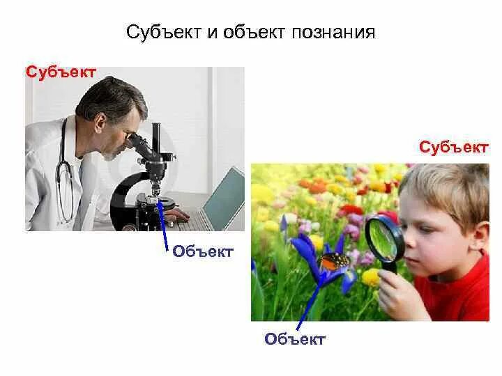 Чем субъект отличается от участника. Субъект и объект познания. объект познания. субъект познания. объект познания в философии.