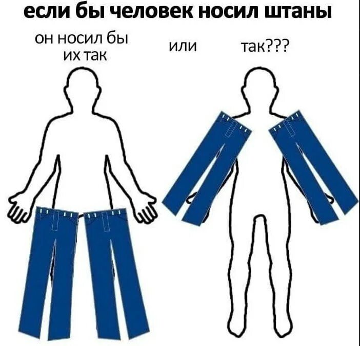 Как бы собака носила штаны. Как собака должна носить штаны. Брюки одевают или надевают. Надень штаны. Проект по русскому языку в словари за частями речи.