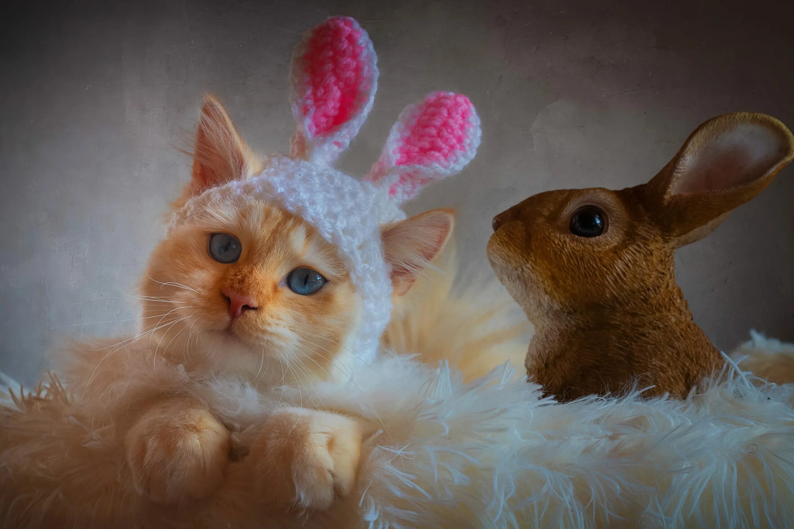 Обнинская с зайчиком. Милые котята и кролики. Зайка и котик. Милые котики и зайчики. Кролик и кошка.