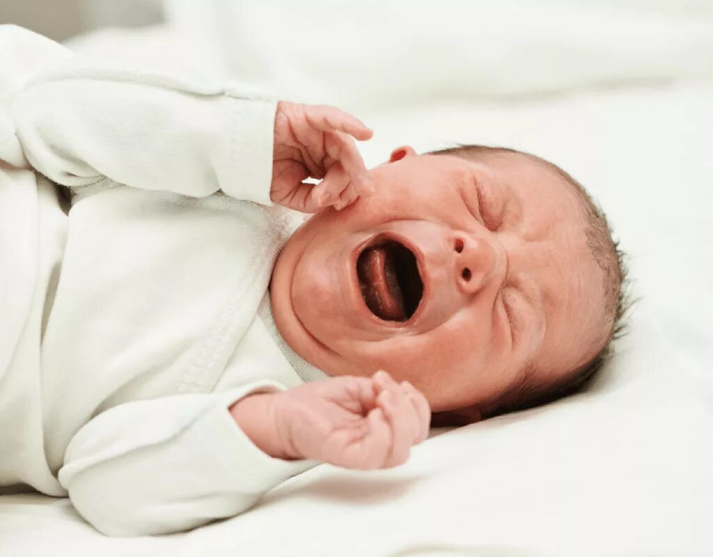 Новорожденный ребенок. Новорожденный ребенок плачет. Пограничные состояния новорожденных. Крик малыша. Почему кричит младенец