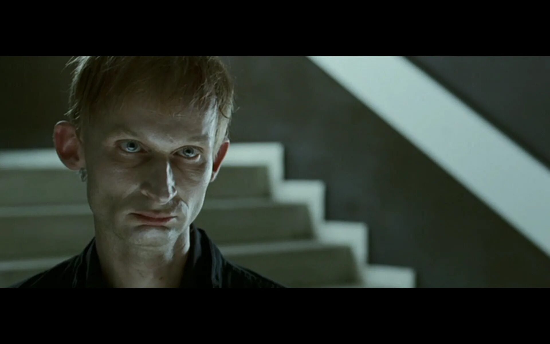 Таксидермия / taxidermia 2006, дьёрдь пальфи. Таксидермия 2006. Таксидермия 2006. Таксидермия 2006. Дьёрдь пальфи таксидермия.