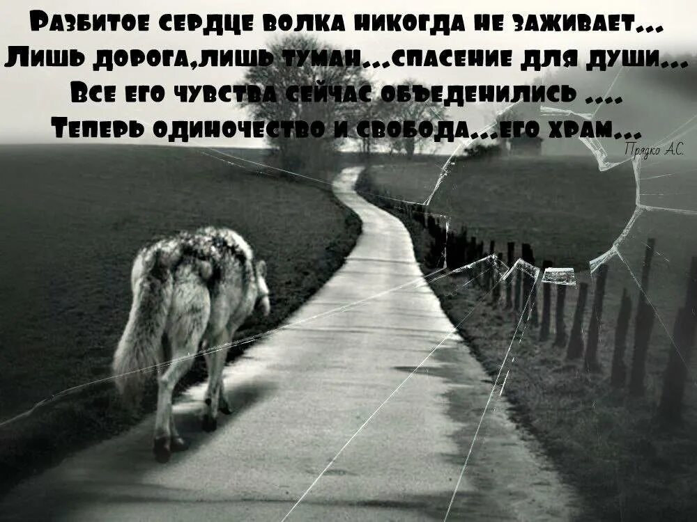 Одиночество строки