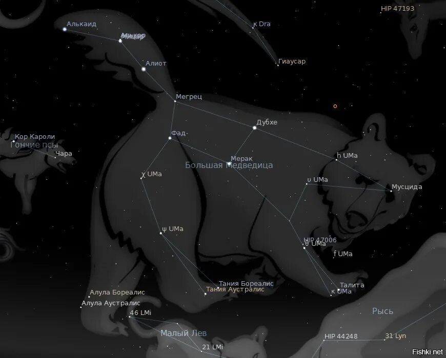 Можно ли с венеры разглядеть малую медведицу. Созвездия Северного полушария большая Медведица. Большая Медведица Альфа и бета. Созвездие большой медведицы интересные астрономические объекты. Созвездие большая Медведица на карте звездного неба.