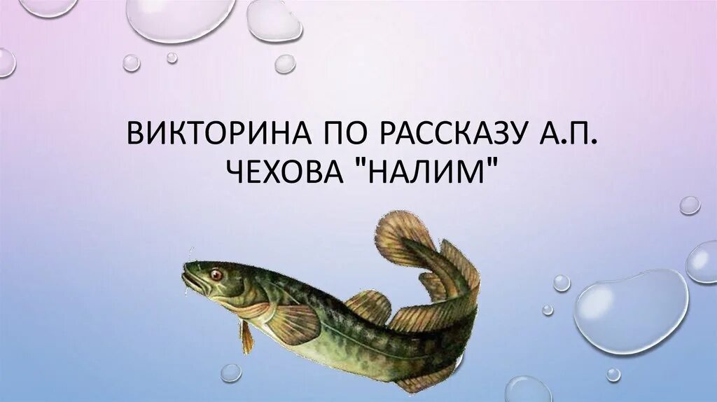 Книга чехов налим. Налим Чехова. Налим иллюстрация к рассказу Чехова. Рисунок к произведению налим.