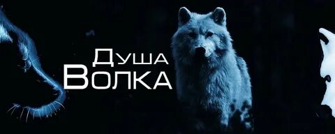Волки обложка