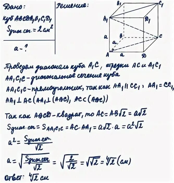 Ребро куба равно найдите площадь диагонального сечения. Ребро Куба равно а Найдите площадь диагонального сечения.