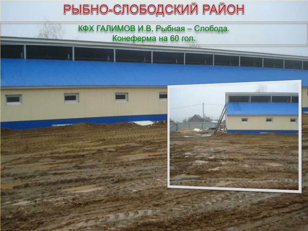 Рыбная слобода ферма. Рыбная слобода ферма