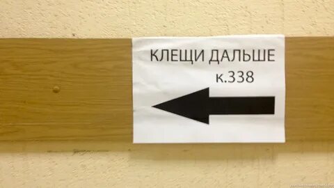 Сдать клеща круглосуточно