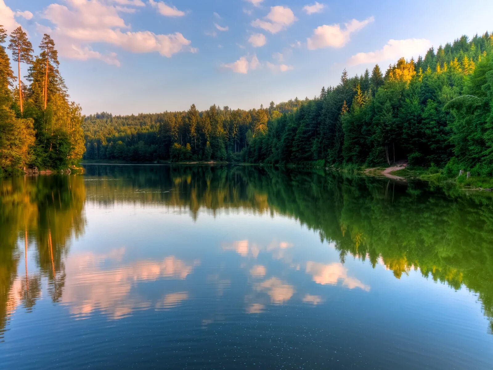 Природа. Река в лесу. Реки России. У озера