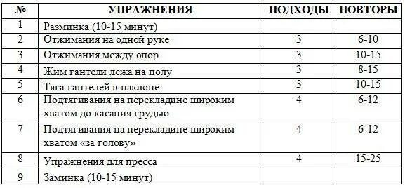 Приложение для набора мышечной массы. Схема домашних тренировок для набора мышечной массы. тренировки для набора мышечной массы для мужчин в домашних условиях. план тренировок для набора мышечной массы дома. лучшая схема тренировок для набора мышечной массы.