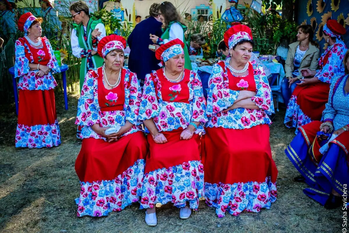 Погода вершинный ростовская область. Погода вершинный ростовская область. Хутор вислый ростовская область. Станица кочетовская ростовская. Хутор золотаревка семикаракорский.