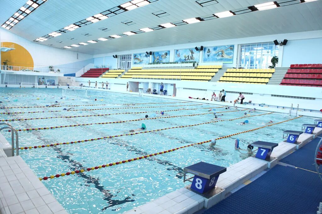 Короленко бассейн казань. Казань бассейн работа. Бассейн "спортивно-оздоровительный комплекс школы № 305". Акчарлак бассейн касатка. Бассейн дввс казань.