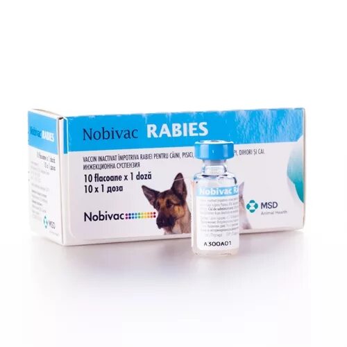 Nobivac Rabies (Нобивак рабиес). Нобивак Rabies (10 доз/уп). Нобивак Rabies лиофилизат 10мл. Нобивак Rabies вакцина д/жив 1мл (1/10). Нобивак с бешенством для собак купить