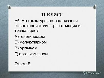 В каких уровнях дают фрагменты
