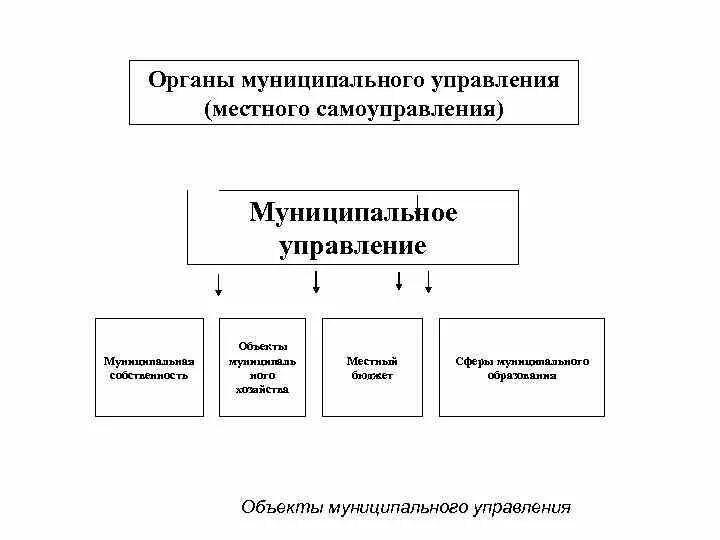 Образование органов местного самоуправления