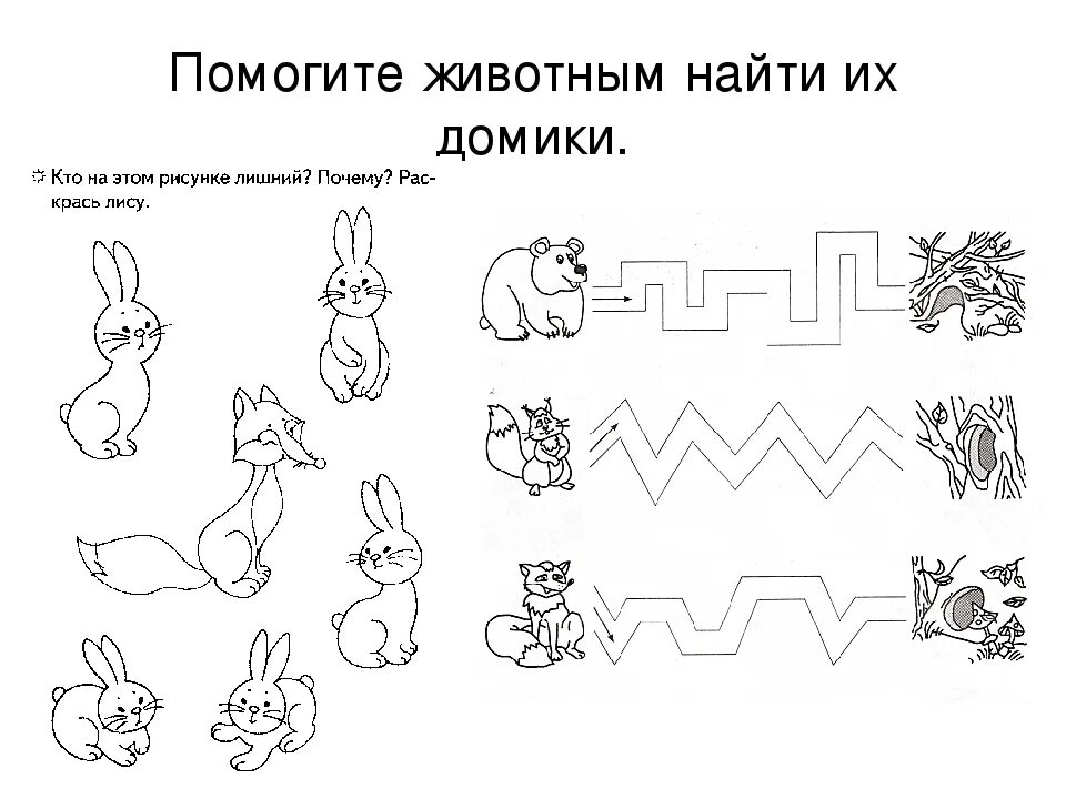 Помоги зайцам найти свои избушки решение