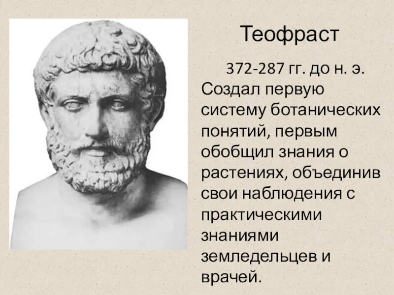 Основатель ботаники. Теофраст (372-287 гг. до н. э.). древнегреческий философ теофраст. теофраст основатель науки ботаники. аристотель и теофраст.