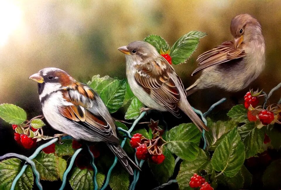Пел соловей среди ветвей. Художница Julia Hargreaves. Природа птицы. Птицы картинки. Птицы живопись.