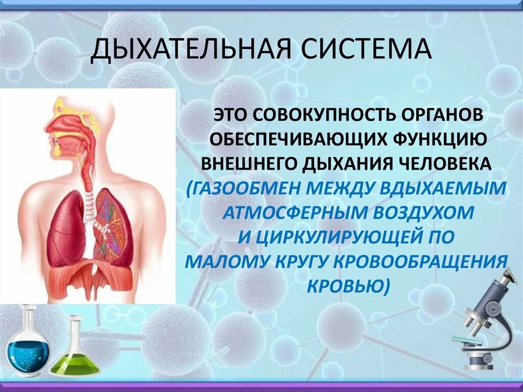 Органы обеспечивающие дыхание человека. Дыхательная система человека это совокупность органов. Органы входящие в дыхательную систему человека и ее функции. Вывод по теме дыхательная система. Дыхательная система это определение.