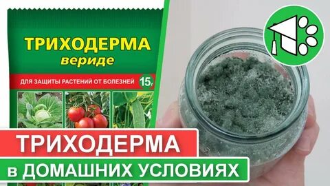 Триходерма для почвы в теплице осенью