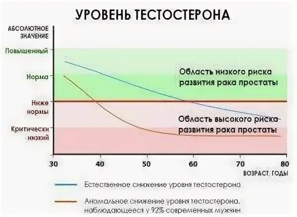 Норма тестостерона. Норм уровень нг мл тестостерон. норма тестостерона у мужчин нмоль/л. уровень общего тестостерона у мужчин норма таблица. тестостерон общий норма у мужчин по возрасту таблица нмоль/л.