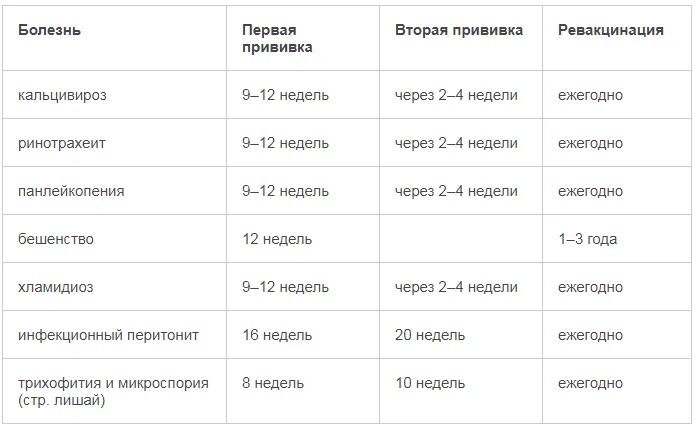 Схема прививок для котенка. Какие прививки делают котятам в 2 месяца. Таблица прививок для котят. Какую прививку делают котятам в 2 месяца. Сколько стоят прививки для кошек