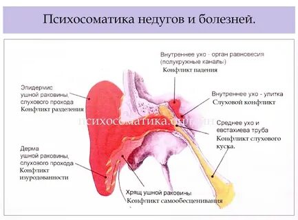 Болит ухо психосоматика