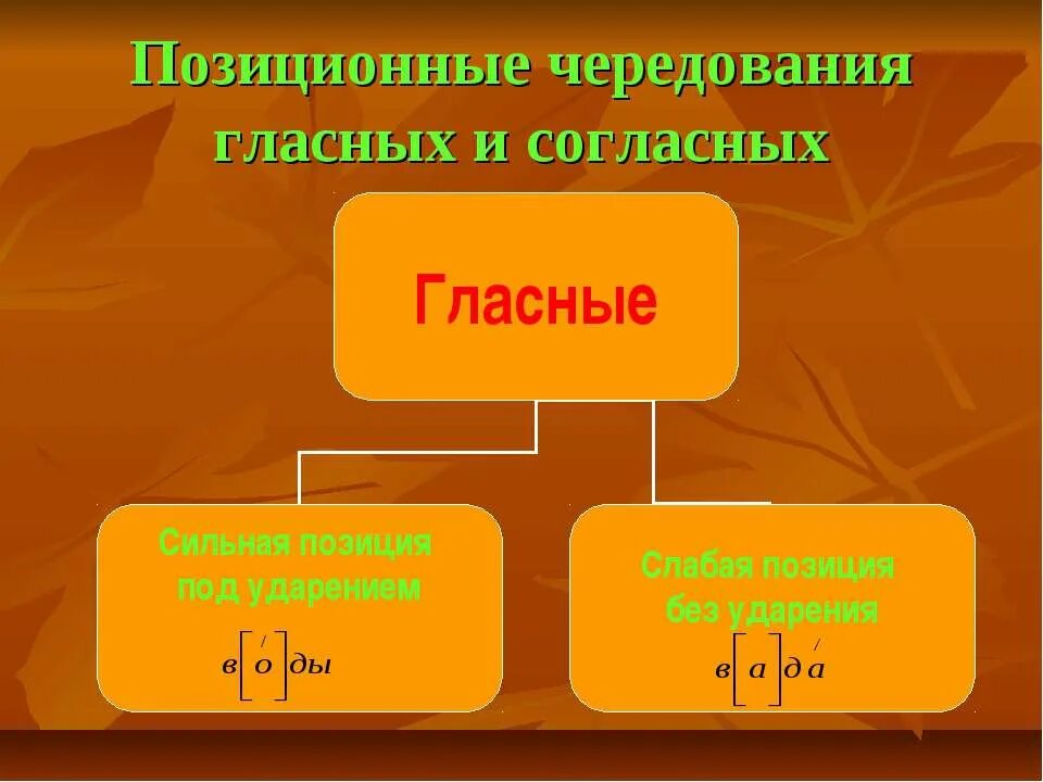 Сильный и слабый звук. Позиционное чередование русских гласных и согласных. Позиционные чередования гласных и согласных звуков. Позиционное чередование звуков. Позиционное чередование гласных звуков.