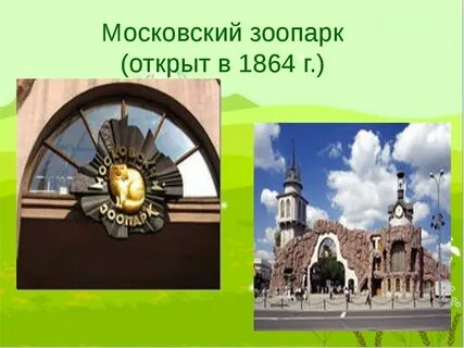 Московский зоопарк информация