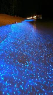 Glow beach