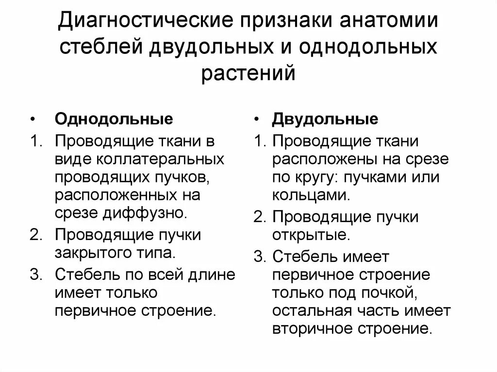 Морфология и анатомия стебля - презентация онлайн