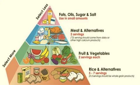 Dairy meat fruit vegetable