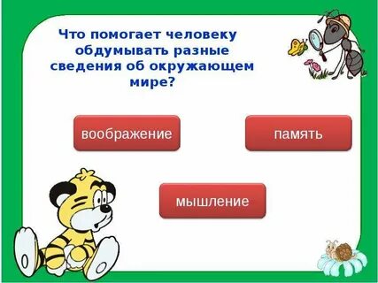 Обобщение по разделу человек
