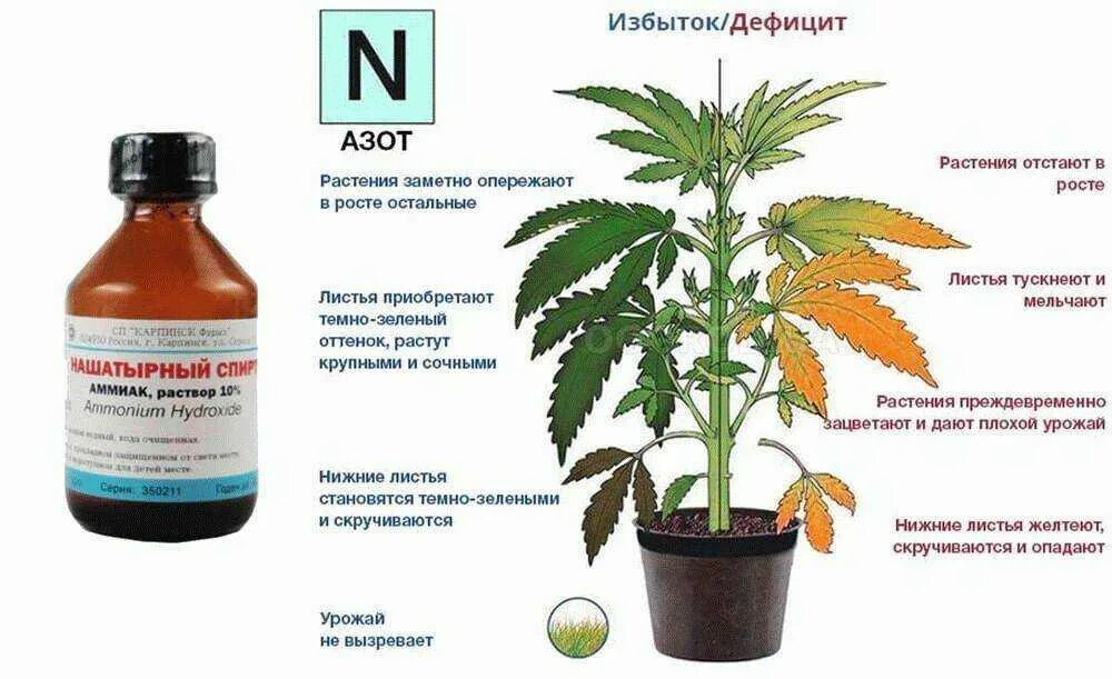Без применения каких