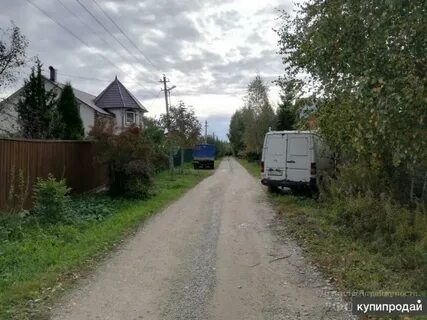 Погода в барыбино домодедовский на 14