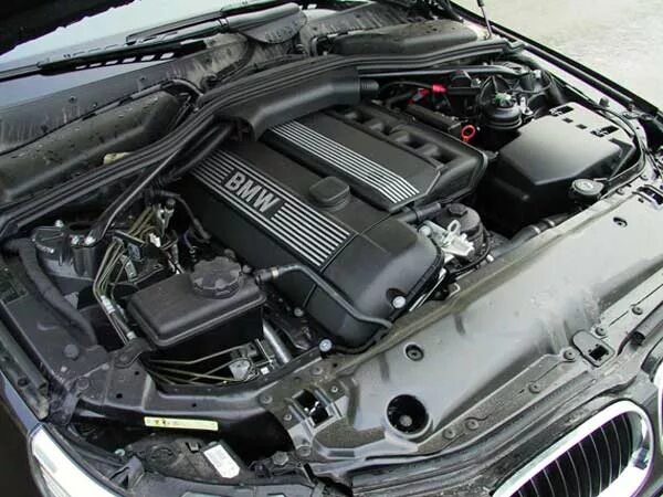 BMW e60 2.2 m54. БМВ Е 65 4.8 щуп. БМВ 520 щуп коробки. BMW x1 щуп.